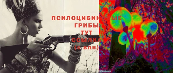 ешки Богородицк